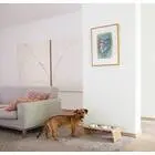dogBar® L - Nussbaum mit Edelstahl