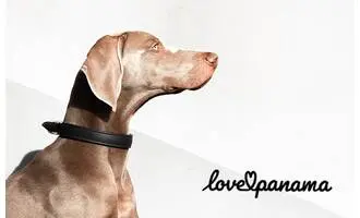 love Panama spring sale