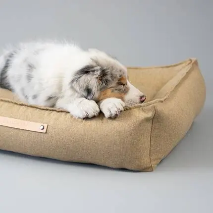 Labbvenn® Hundebett mit Rand MØVIK biscuit