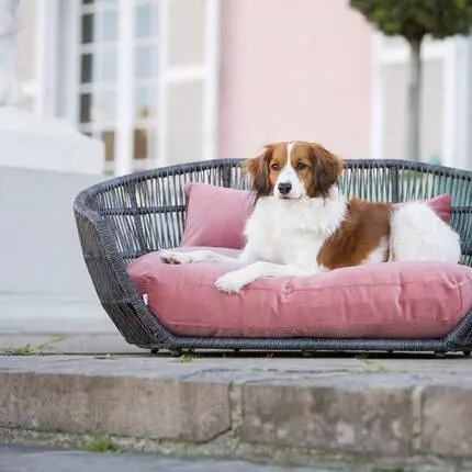 Luxus Hundebett PRADO OXFORD mit geflochtenem Rahmen von Laboni • rose