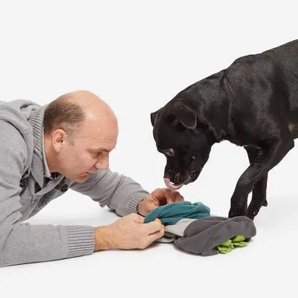 Mini Schnüffelspielzeug für den Hund SNIFFROLL salbei | grau • Knauder's Best