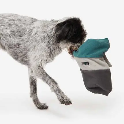 Mini Schnüffelspielzeug für den Hund SNIFFROLL salbei | grau • Knauder's Best