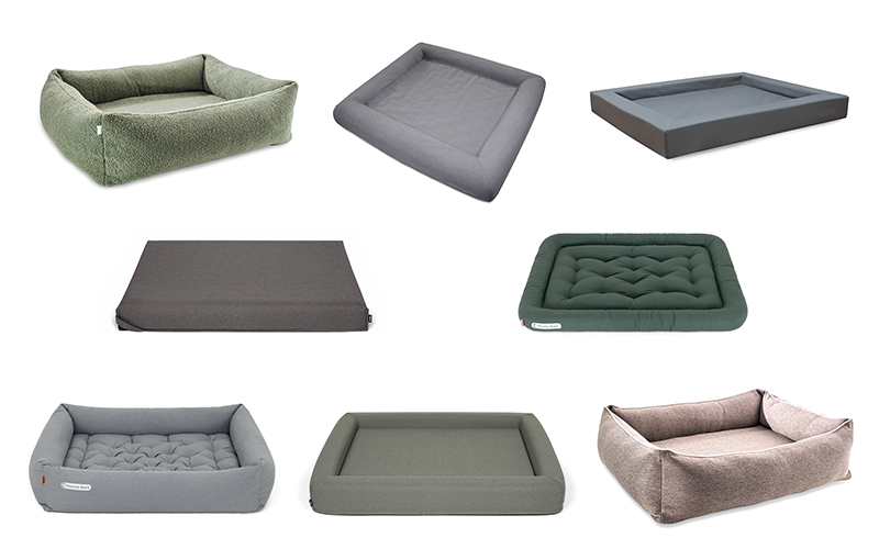 das beste hundebett