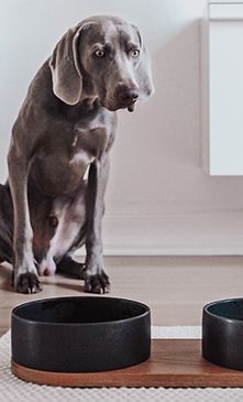 Labbvenn Keramik N&auml;pfe