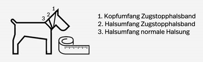 Messanleitung.png?1606905202675