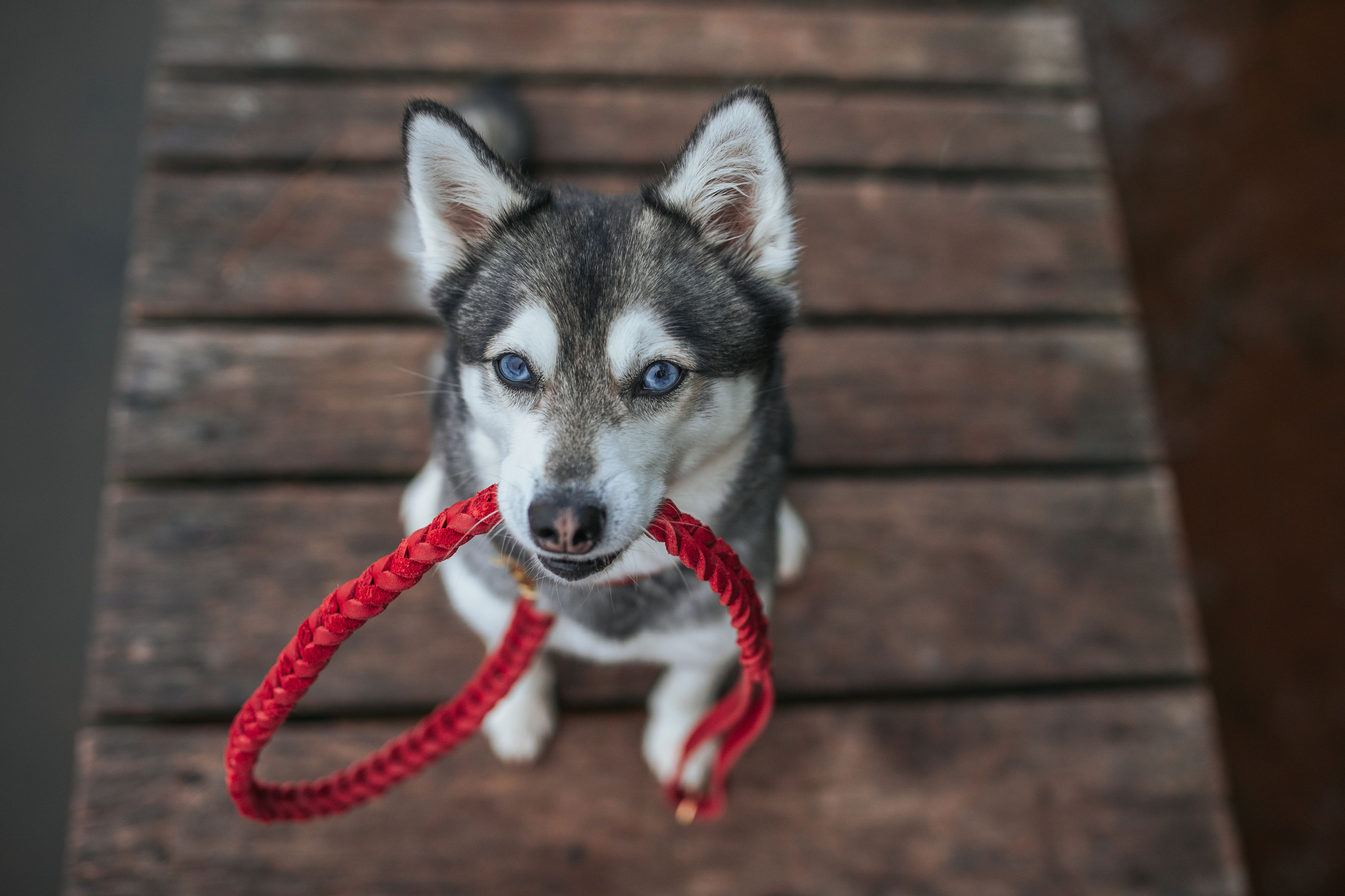 YL3A6101.jpg?1605295780700