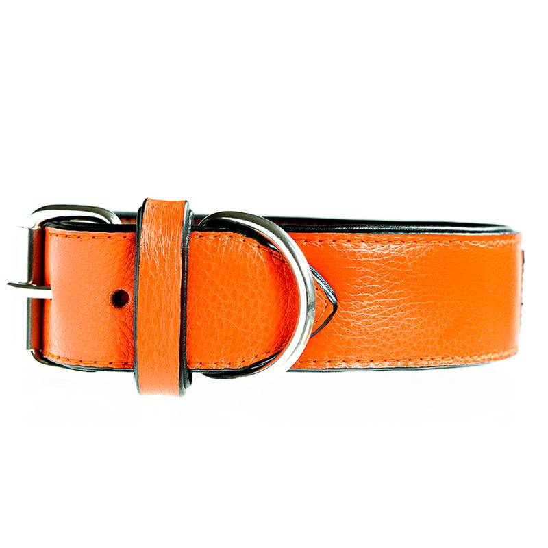 Luxus Hundehalsband in orange braun oder schwarz Leder mit eleganten  Ornamenten, Design Orange - Superpipapo