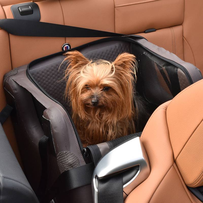 Die TAMI Hundebox für den Beifahrersitz