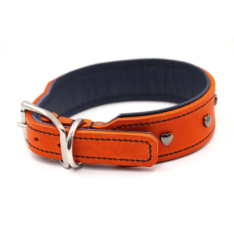 Luxus Hundehalsband, Zugstopp, Leder, Orange/Petrol