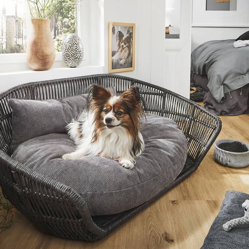 Luxus pur: Hundebett PRADO TUDOR von Laboni® | iinu