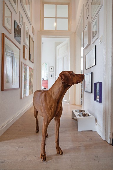 Die dogBar® S-large Eiche dunkel mit Näpfen aus Porzellan | iinu