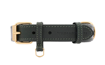 paracord halsbänder für hunde Geflochtenes Paracord Biothane Hundehalsband Shire (grün-braun-beige)