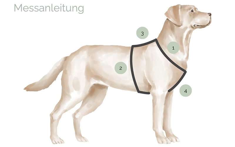 Messanleitung Hundegeschirr Maßanfertigung