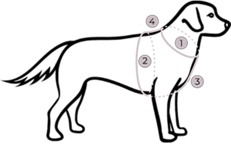 messanleitung-geschirr-hey-lana.png?1655113235090