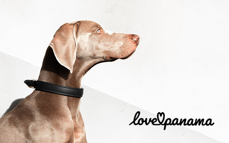 love Panama spring sale