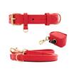 Gassi Set CHILI mit Leder-Hundeleine und Halsband • William Walker