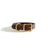 Premium Lederhalsband dunkelbraun "Chestnut"