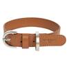 Veganes Hundehalsband aus Apfelleder braun • CLASSY COGNAC SILVER