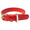 Veganes Hundehalsband aus Apfelleder rot • CLASSY SUNSET GOLD