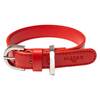 Veganes Hundehalsband aus Apfelleder rot • CLASSY SUNSET SILVER