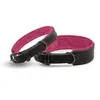 Gepolstertes Halsband • Leder schwarz