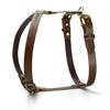 Hundegeschirr Maßanfertigung • Leder dunkelbraun