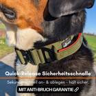 Tactical Halsband &bull; gepolstert + verstellbar &bull; Hunter Glow