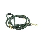 Hundeleine Leder grün