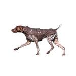 Von Hohenstein Hundemantel