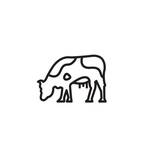 Trockenfutter mit Rind