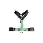 Hundegeschirr verstellbar