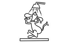 doggy wash