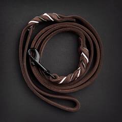 BRAIDY BEAR - Lederleine mit Handschlaufe 150cm