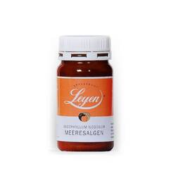 Meeresalgenpulver für Hunde (Braunalge), 100g