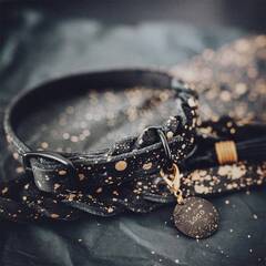 Verstellbares Halsband aus Fettleder • GOLDEN SPARKLE
