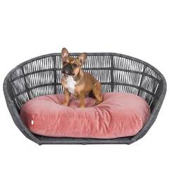 Luxus Hundebett PRADO OXFORD mit geflochtenem Rahmen von Laboni • rose