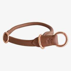 Zugstopp-Halsband aus Leder Student • cinnamon