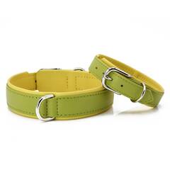 Hundehalsband aus Leder AMICI Lemon • gepolstert • grün | gelb