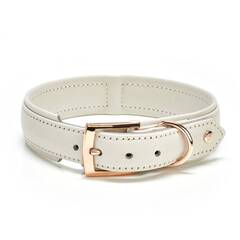 Hundehalsband aus Leder AMICI Light Grey • gepolstert • hellgrau