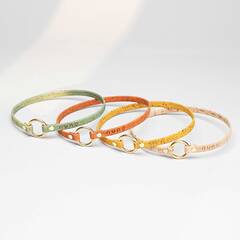 Hunde Markenhalsband aus Korkleder Pépé • 8 Farben • Messing