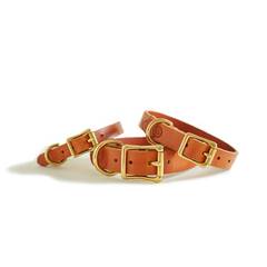Premium Lederhalsband "Cognac"