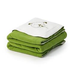 XL Kuscheldecke für Hund und Halter • Polarfleece weiß | grün