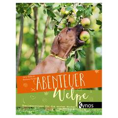 Abenteuer Welpe – Überlebenstipps für die ersten Wochen