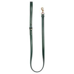 Vegane Hundeleine aus Apfelleder, grün • Cityleine CLASSY DARK GREEN GOLD