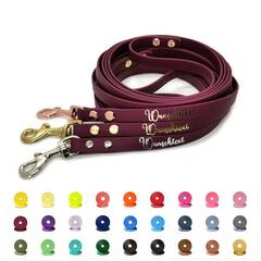 BioThane® Hundeleine mit Name • 13mm • konfigurierbar