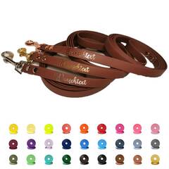 BioThane® Hundeleine mit Name • 16mm • konfigurierbar