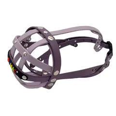 BioThane® Maulkorb für Cavalier King Charles Spaniel