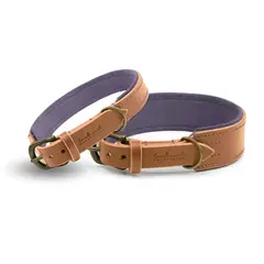 Gepolstertes Halsband • Leder cognac