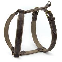 Gepolstertes Hundegeschirr Maßanfertigung • Leder dunkelbraun