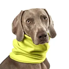 Hunde-Loop Fleece mit Halsband-Öffnung • lemon